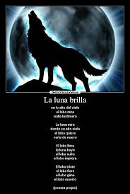 La Luna Lobos Tristes Lobos Enamorados Fotos Lobos