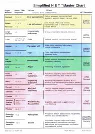 Simplified Master Net Chart Outlining Meridians Organs