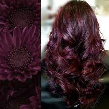 Wine Red Hair Colour Wine Hair Color Wine Red Hair Wine Red Hair Color