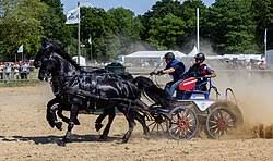 Carriage - Wikipedia