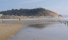 32°55′53″n 117°15′37″w filmed 19 june 2018 with yuneec cgo3 in 4k video. Torrey Pines State Beach Wikipedia