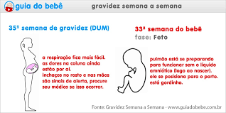 35 Semanas De Gravidez Guia Do Bebe