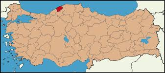 Image result for bartin haritası