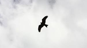 67 tukang becak tertidur wanita penghibur : 10 Tanda Tanda Dapat Rezeki Nomplok Tokopedia Blog