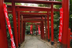 鎌倉殿 小雨降る鶴岡八幡宮 歴史深い可憐な長谷寺を訪れる 鎌倉 旅行のクチコミサイト フォートラベル 鎌倉 旅行 旅行 長谷寺