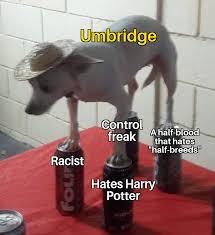 Dolores umbridge was canonically one of the worst people in the wizarding world. Dolores The Toad Umbridge Harrypottermemes