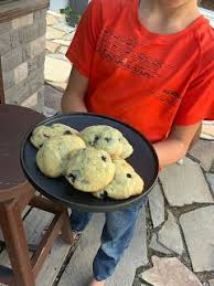 Fil Et Fouet Les Petites Mains De Benjamin Biscuits Moelleux Citron Et Bleuets In 2020 Food Biscuits Breakfast