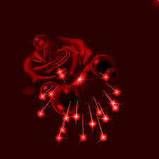 صور متحركه 2021 hd اجمل خلفيات متحركة مصراوى الشامل in 2021 animated gif art rose flower colors flowers