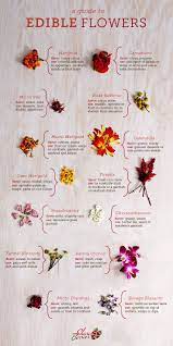 Maybe you would like to learn more about one of these? 140 Edible Flowers Ideas Edible Flowers Edible Flowers