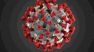 All of mass media has been. There Are 4 000 Variants Of Coronavirus That Causes Covid 19 Says Uk Minister