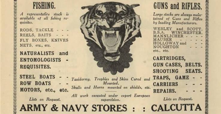 The Indian shikar | Fieldsports Journal