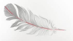 Thanks for watching my coloring pages for kids channel! How To Draw A Feather