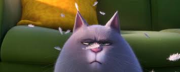 Evcil Hayvanlarin Gizli Yasami 2 Den Kedi Chloe Tanitimi Geldi Haberler Beyazperde Com