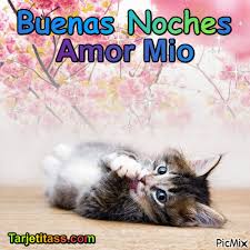 Check spelling or type a new query. Buenas Noches Mi Amor Picmix