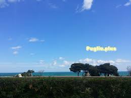 Matilda anna ingrid lutz, kevin janssens. Netflix Filme Zum Italienisch Uben Puglia Plus