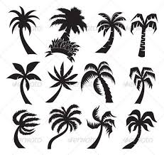 Palm Trees Palm Tree Tattoo Tree Tattoo Meaning Tree Tattoo