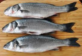 Der fisch wird auch als branzino (italienisch), brancin , robalo (portugiesisch), lubina und im französischen als bar commun oder loup bezeichnet. Zutat Wolfsbarsch Koch Wiki