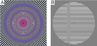 Image result for illusion pictures