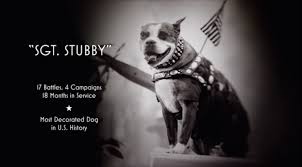 The incredible true story of america's top underdog is available on digital and. Sgt Stubby An American Hero 2018 Photo Gallery Imdb