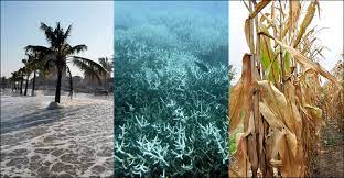 We did not find results for: Why A Half Degree Temperature Rise Is A Big Deal Climate Change Vital Signs Of The Planet