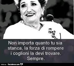 Italia's got talent (season 9). Tutti I Meme Su Mara Maionchi Facciabuco Com