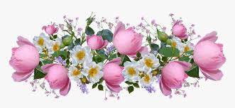 Pink and white flower png. Flores Rosas Rosa Blanco Acuerdo Perfume Jardin Flower Pink White Png Transparent Png Transparent Png Image Pngitem
