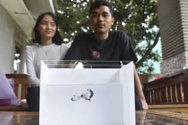 Misalnya saja, betta lovers mengawinkan ikan cupang dengan warna dasar merah, ya nggak akan mungkin merah ini berubah warna.meskipun hingga kiamat.wk wk wk wk wk. Ketika Sepasang Cupang Blue Rim Jadi Maskawin Pasutri Di Bekasi Halaman All Kompas Com