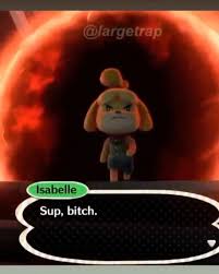 3 208 Mentions J Aime 15 Commentaires 3bigtacos 3bigtacos Sur Instagram Happy Bunny Day Yo Animal Crossing Funny Animal Crossing Memes Animal Crossing