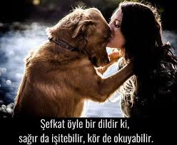 Eylem Yildirim On Happy Pinterest Sobaki Ogromnye Sobaki Ve Zhivotnye