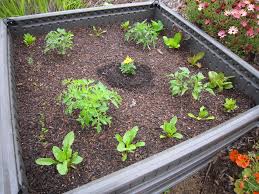 Lifetime Raised Garden Bed Bountiful Backyard
