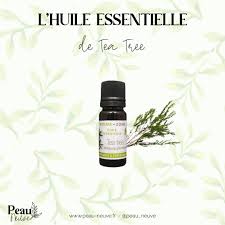 Elle est souvent accompagnée d'une toux sèche ou grasse, de maux de tête, de douleur dans la sphère. Mes Six Huiles Essentielles Indispensables Pour L Hiver Peau Neuve