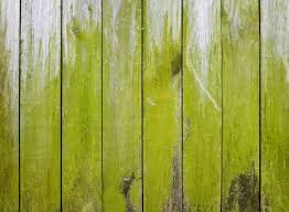 Use them to beautiful floors, patios, pool decks, walkways, and other features throughout residential and commercial properties. How To Remove Green Algae From A Wood Deck Decks Docks