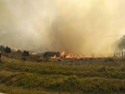 The fire is moving towards the campus, the western cape government said. T4fbj25jwehajm