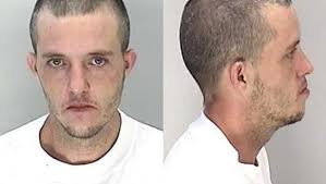 Lawn mower theft leads to police chase