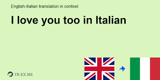 I Love You Too In Italian Translation