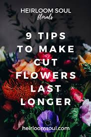 We did not find results for: 9 Tips To Make Cut Flowers Last Longer Heirloom Soul Florals Wedding Florist And Flower Farm In Buffalo Ny Wny