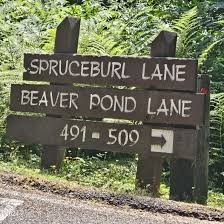 Depoe Bay, Gleneden Beach, Lincoln City, Newport, Otis, Rose Lodge, Seal  Rock, Waldport, Yachats, To Oregon Home Listings