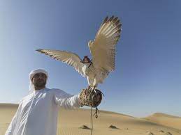 Arab spread eagle