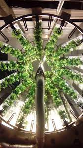 Rotary Garden Hydroponic Evolution Hydroponics Is An Effective Cultivation Only In Water With A Closed Hydroponic Gardening Hydro Gardening Hydroponics