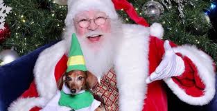 For a $10 donation that will benefit phoenix wildlife. 10 Places To Get Pet Photos Taken With Santa Claus Near Vancouver Listed