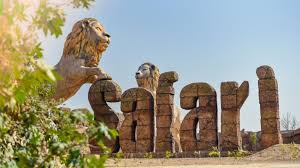 Lion Safaris In India For Wildlife ...