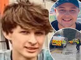 Pie fortune heir who stabbed his best friend to death had confessed to his  psychiatrist a month earlier that he had tried to break into Buckingham  Palace, court hears