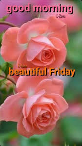 Go to table of contents. 170 Good Morning Friday Ideas In 2021 Good Morning Friday Good Morning Morning