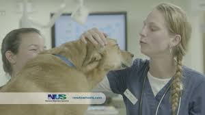 While we will not be receiving new patients between these hours, we will remain fully staffed, with a veterinarian in the hospital 24 hours a day to provide the care and. Newtown Veterinary Specialists 24 Hour Emergency Animal Hospital Emergency Critical And Specialty Care