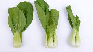 Maybe you would like to learn more about one of these? 4 Jenis Sawi Kandungan Nutrisi Dan Manfaatnya Bagi Tubuh