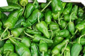 The peppers are popular as a spanish tapas dish. Padron Peppers So Good Portland Edible Gardens Raised Garden Beds Edible Landscaping And Vegetable Garden Help In Portland Or