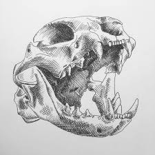 Thingiverse is a universe of things. Domesticcatskull Hashtag On Twitter