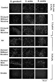 I also wear a gold wedding band that probably weighs more than the bracelet, but have never been asked to remove it. Ijerph Free Full Text A Comparison Of Flavorless Electronic Cigarette Generated Aerosol And Conventional Cigarette Smoke On The Planktonic Growth Of Common Oral Commensal Streptococci Html