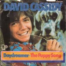 Daydreamer (David Cassidy song)