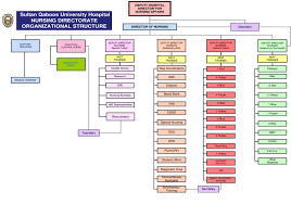 Squh Nursing Directorate Organisational Chart Download
